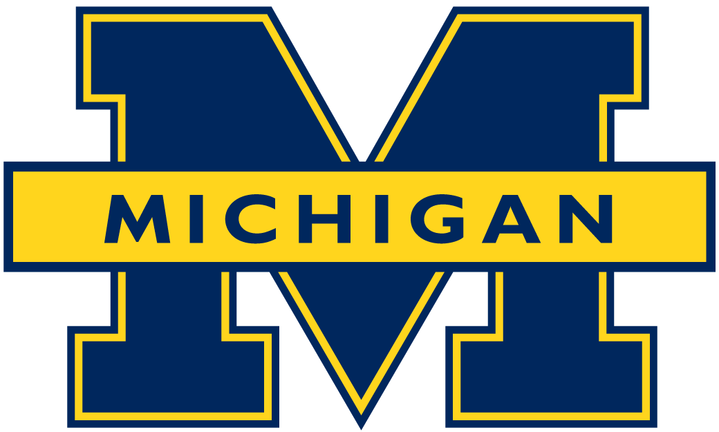 Michigan Wolverines 1996-2011 Primary Logo t shirts DIY iron ons